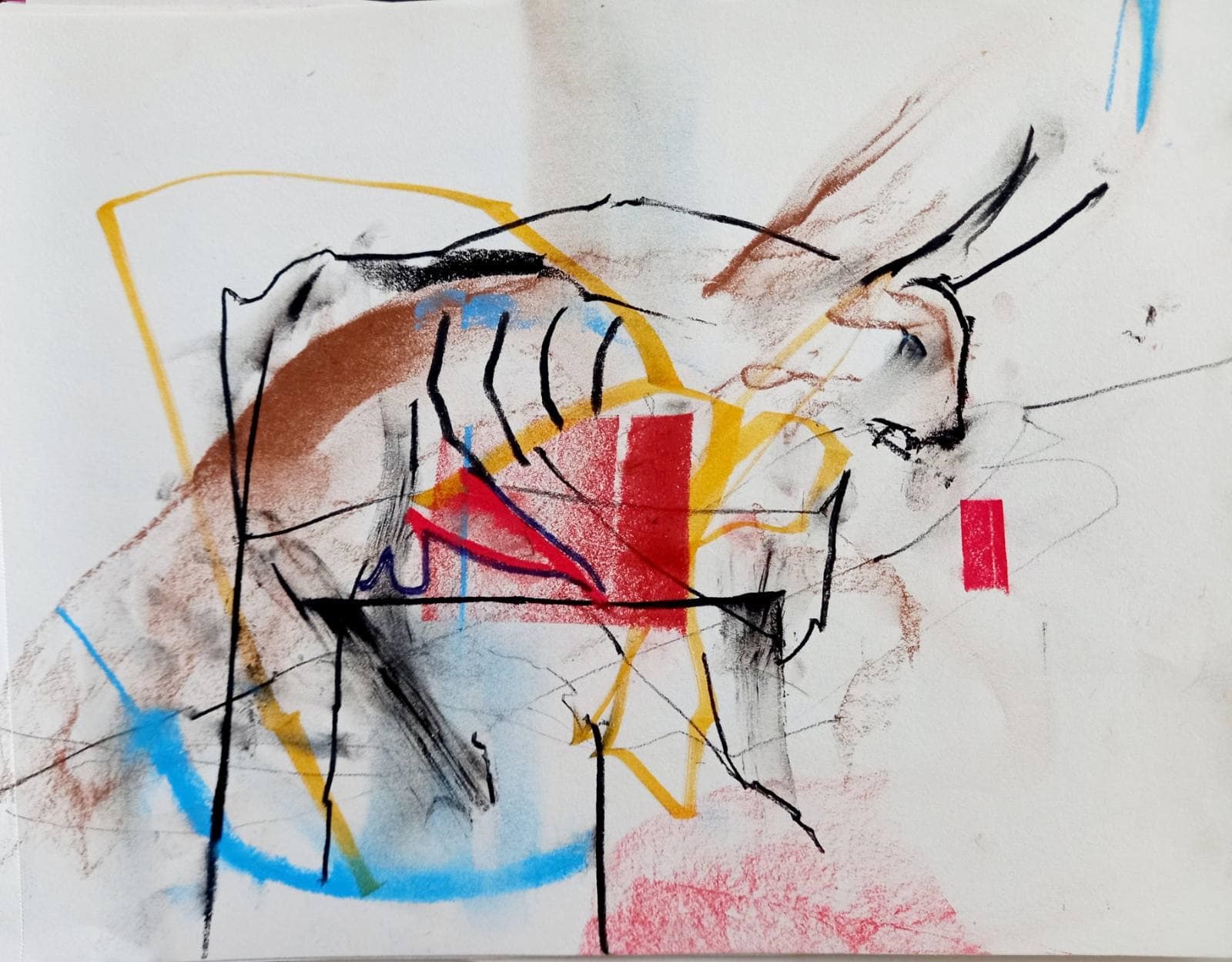 “Animalia” στην Gallery “7” με Ματίνα Σταυροπούλου και Νίκο Κάνογλου