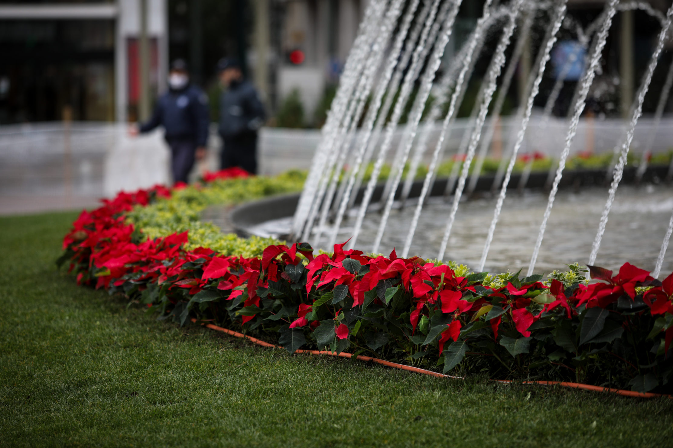 Ξαναζωντανεύουν οι «οάσεις» δροσιάς της Αθήνας