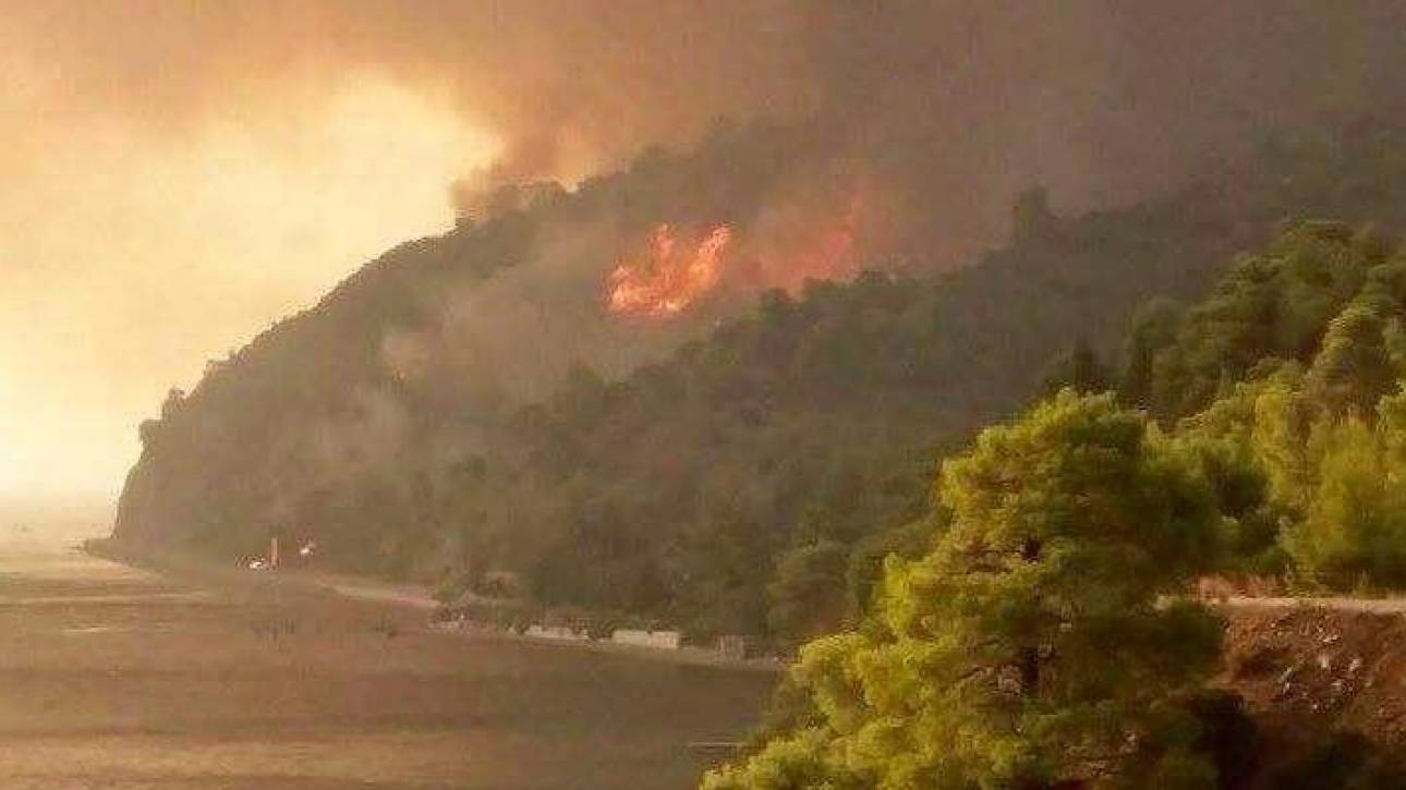 Φωτιά στο Πλωμάρι Λέσβου – Μήνυμα 112 για εκκένωση – Ισχυροί άνεμοι