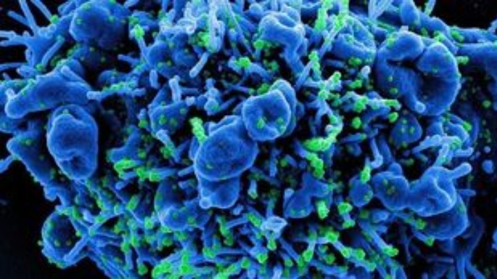 Νέα παραλλαγή του κορονοϊού εξαπλώνεται στη Ν. Υόρκη