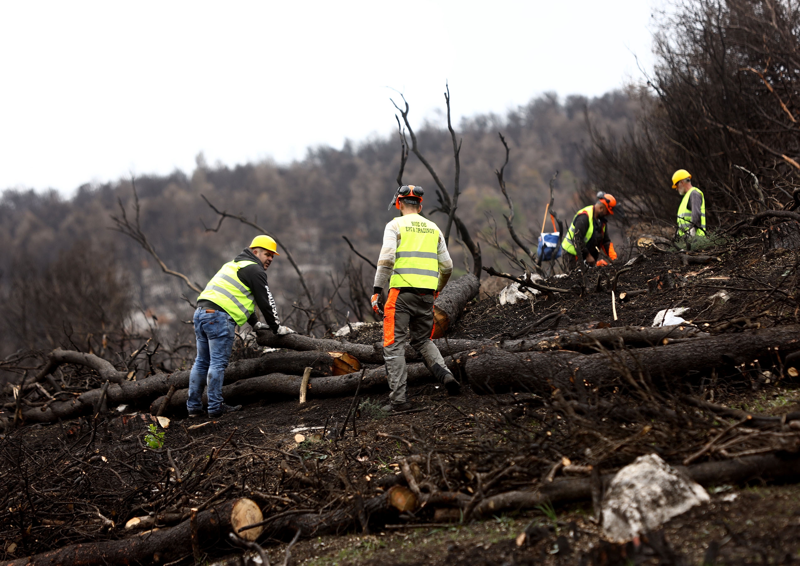 Coca Cola 3E: Ταχεία αποκατάσταση της περιοχής Βαρυμπόμπης – Τατοΐου και δωρεά €800.000