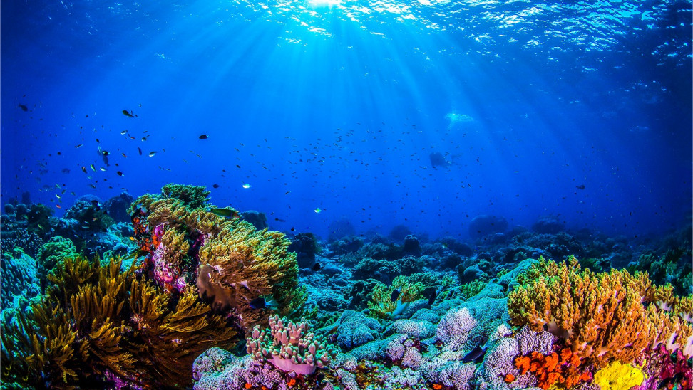 Συγκρότηση συμβουλίου για τον καταδυτικό τουρισμό