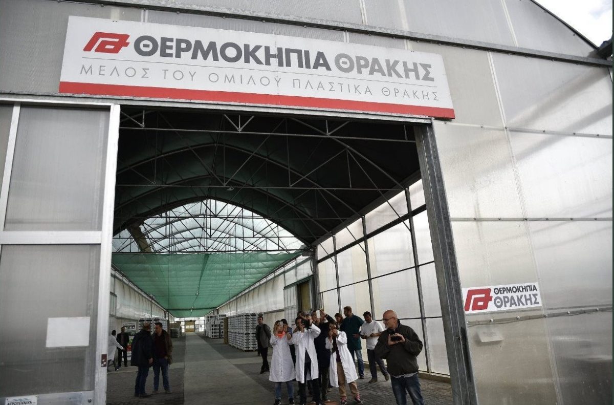 Θερμοκήπια Θράκης: Τέσσερις κορυφαίες διακρίσεις στα διεθνή βραβεία Superior Taste Awards για τα προϊόντα «Κήπος της Ξάνθης»