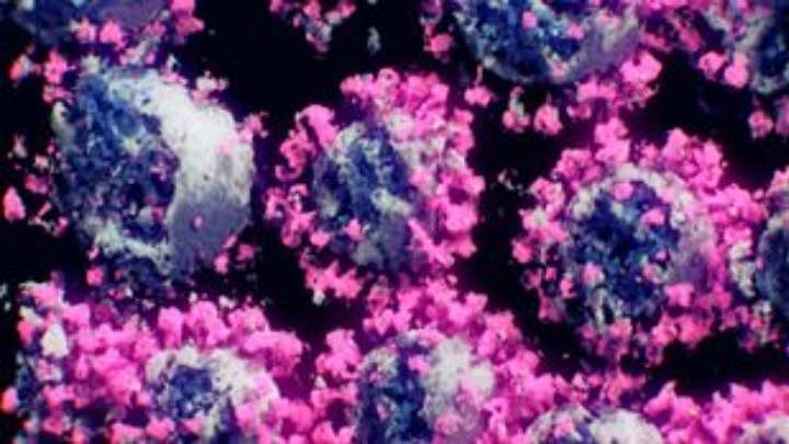 Τι ισχύει για την Delmicron και τη Florona