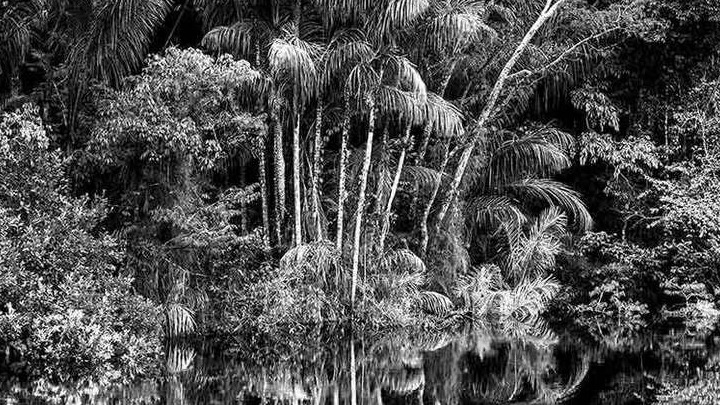 Έκθεση του Σεμπαστιάο Σαλγκάδο στη Σάντα Μόνικα