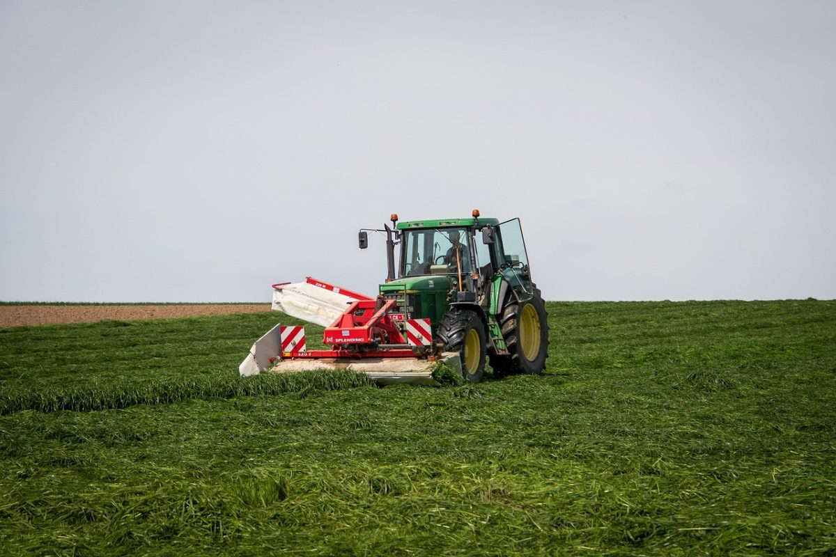 ΥΠΟΙΚ – ΑΑΔΕ: Οι ενισχύσεις από το Mέτρο 23 δεν προσμετρώνται στο όριο μετάταξης στο κανονικό καθεστώς ΦΠΑ – Διαγράφονται και επιστρέφονται πρόστιμα