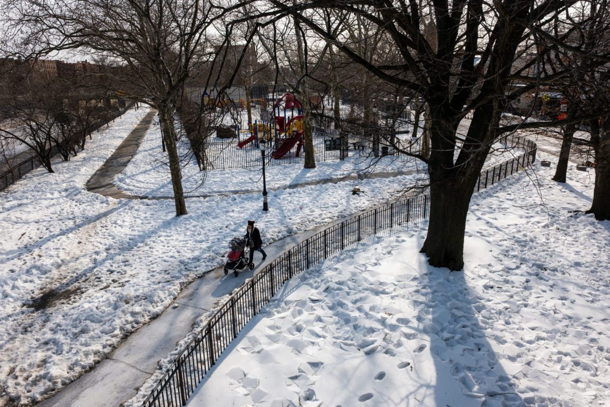 Δριμύ ψύχος σε Δανία, Ρωσία, Ιαπωνία και ΗΠΑ – Χάος στους δρόμους από τις σφοδρές χιονοπτώσεις