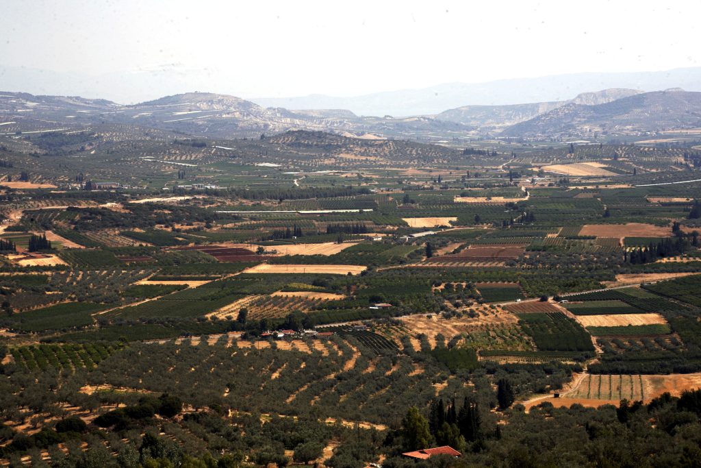 Αιτήσεις ενίσχυσης: Ανοίγει τη Δευτέρα η πλατφόρμα της ΑΑΔΕ για διορθώσεις από αγρότες και κτηνοτρόφους