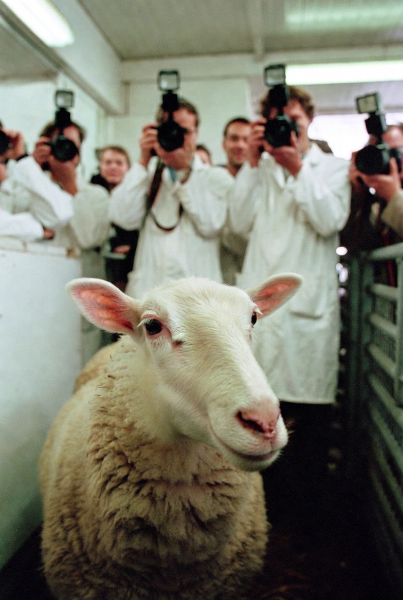 Ρόσλιν 1997: Η Ντόλι και η Ιδιωτικοποίηση της Ζωής