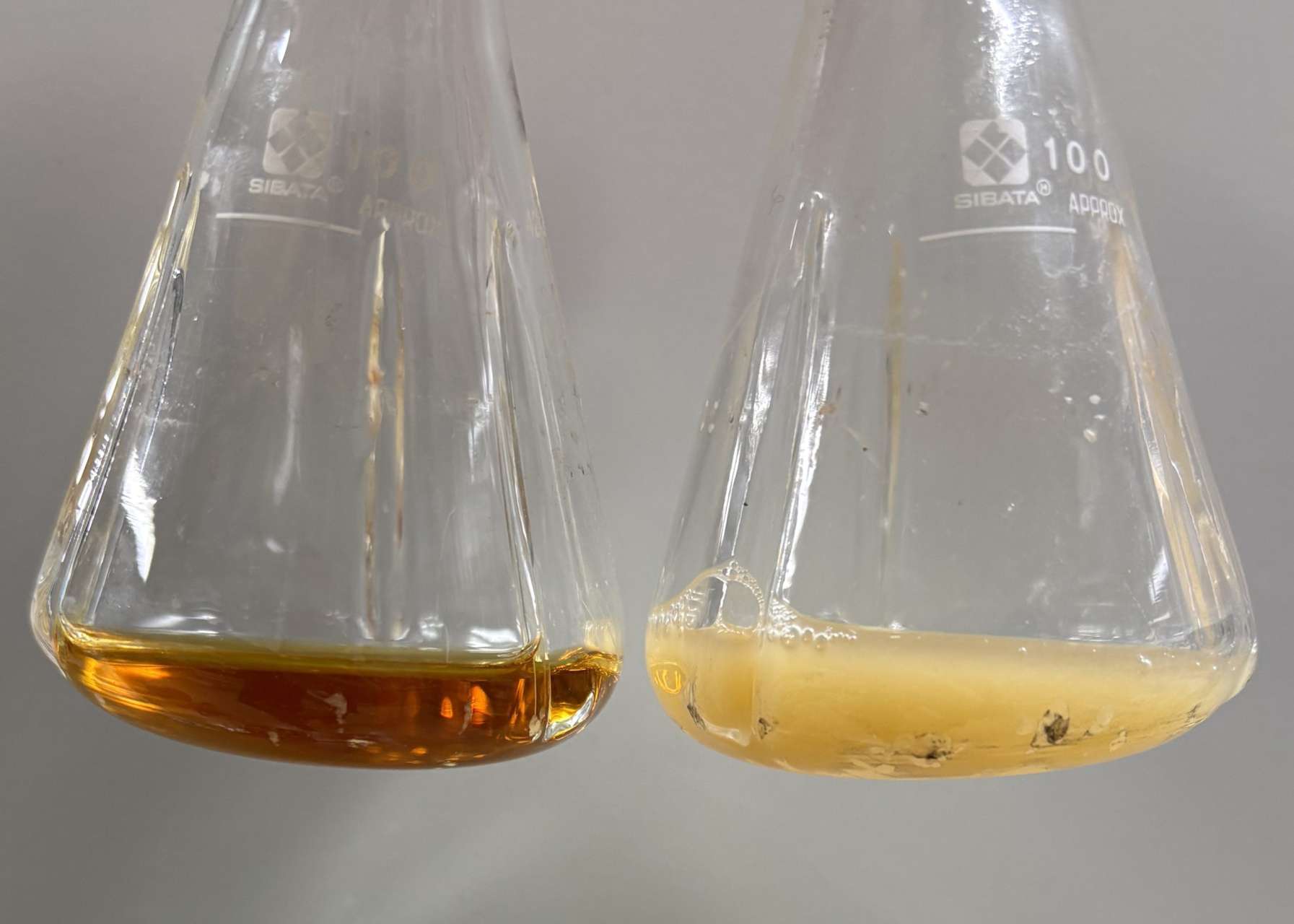 260217-hasunuma-meroterpenoid-cultures