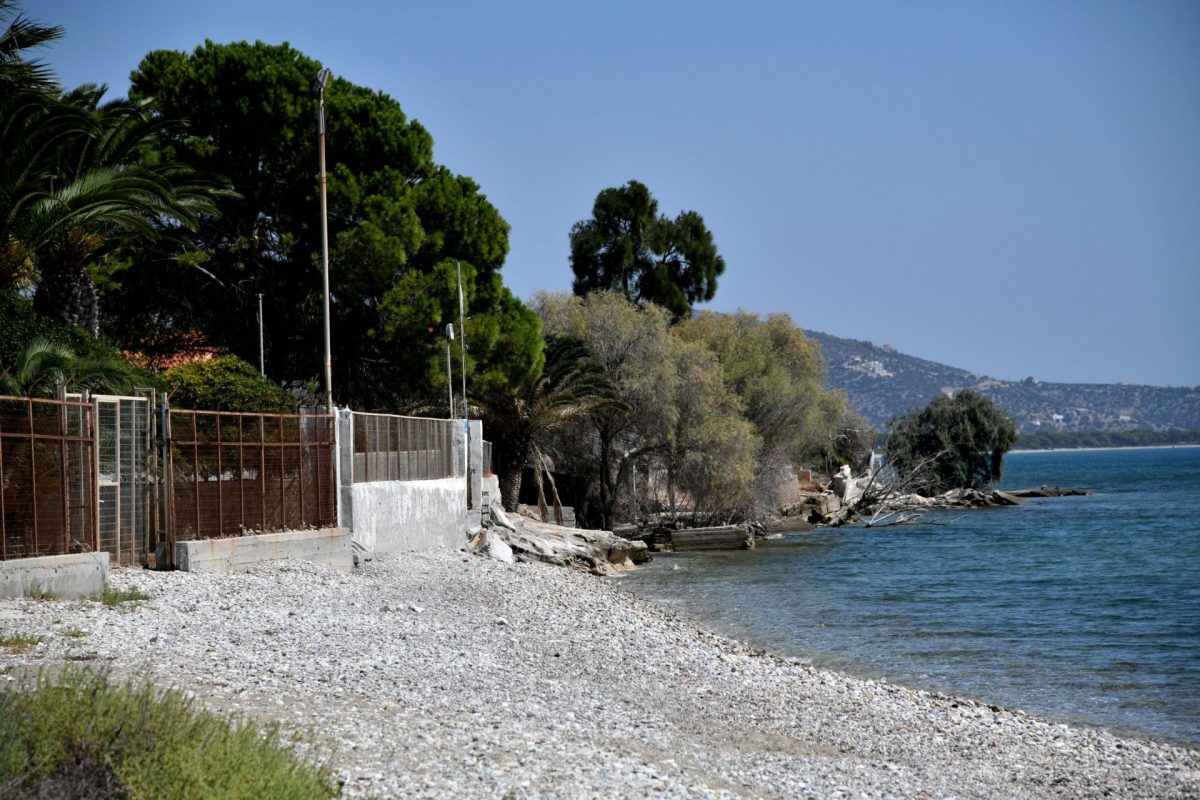 Ηλεκτρονικές πλειοδοτικές δημοπρασίες παραχώρησης απλής χρήσης αιγιαλού και παραλίας