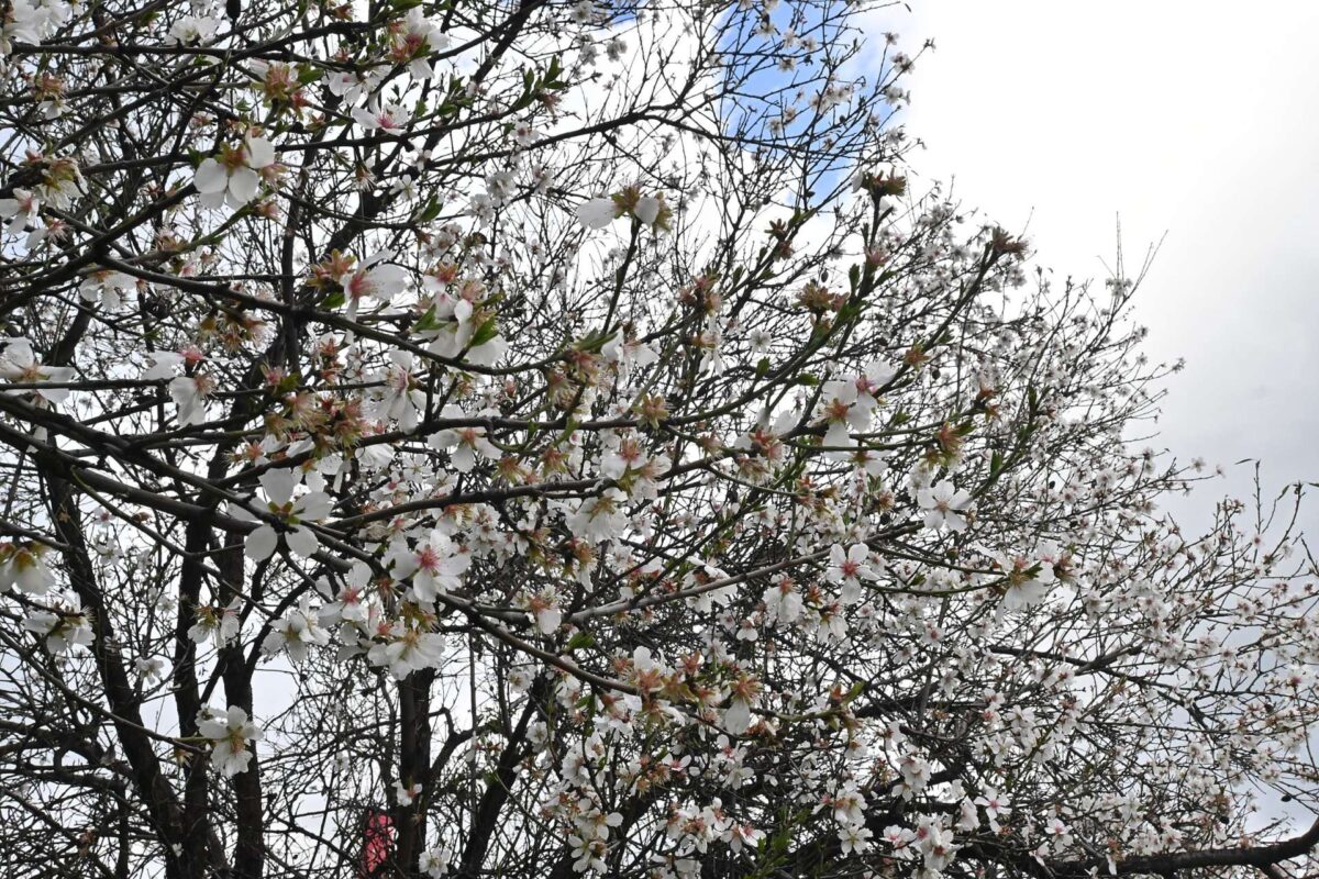 Καιρός: Υποχωρεί η αφρικανική σκόνη, νέα επιδείνωση από την Τρίτη – Αναλυτική πρόγνωση