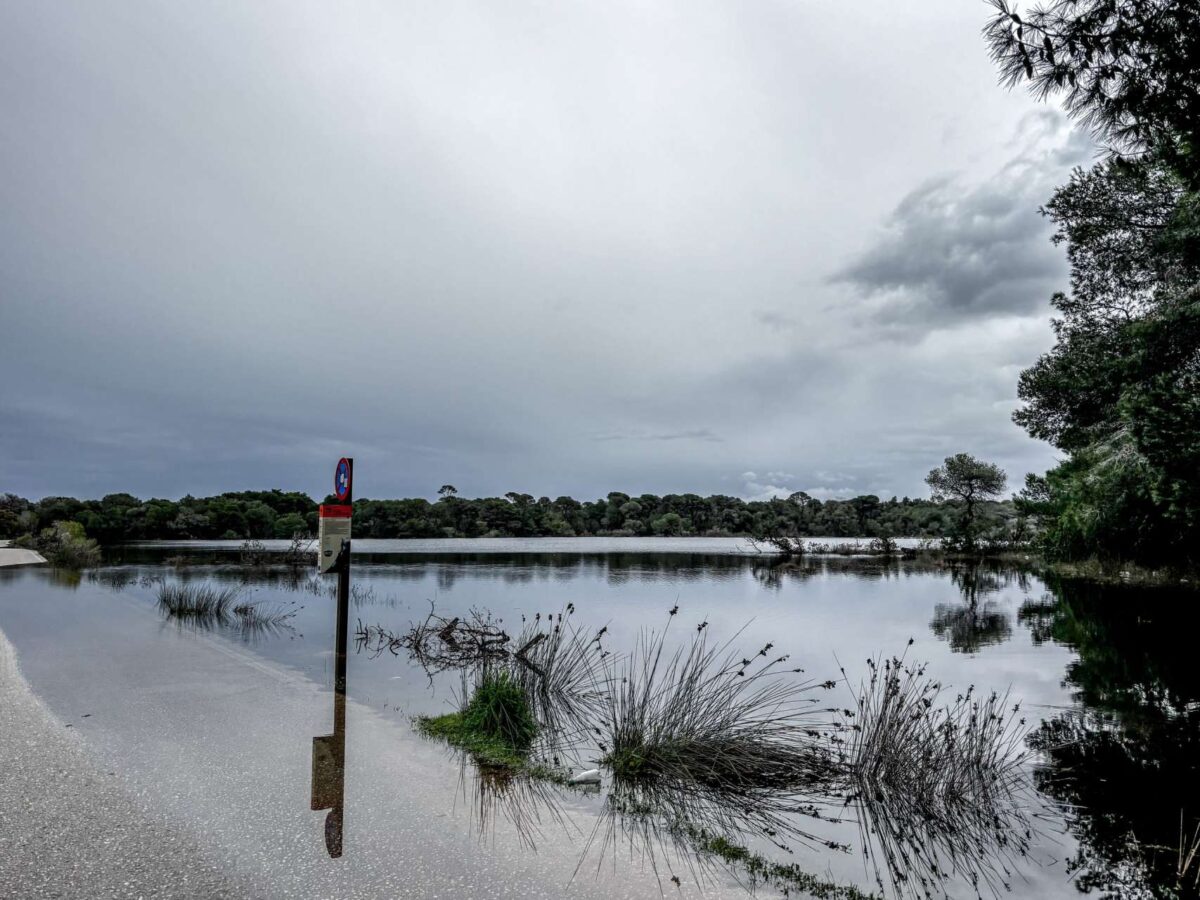 Ολονύχτια μάχη και κόκκινος συναγερμός μέχρι την Παρασκευή στον Έβρο: Έπεσαν πάνω από 1.600 κυβικά νερού το δευτερόλεπτο, πλημμύρισαν 150.000 στρέμματα