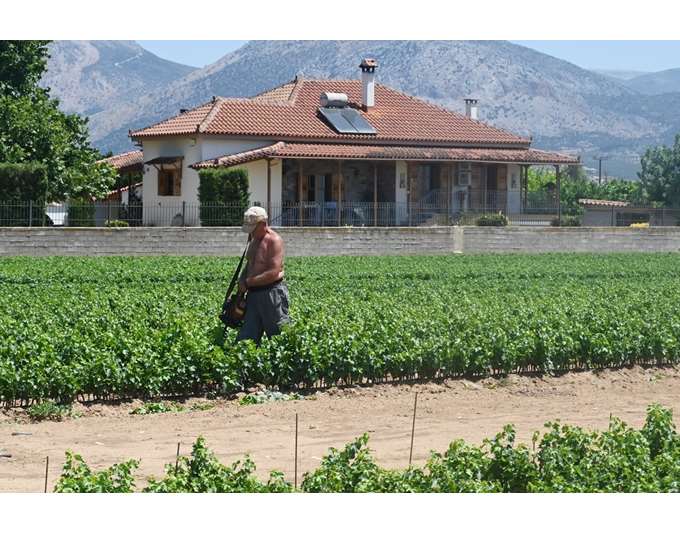 Παράταση έως 31 Δεκεμβρίου για χρηματοδότηση και αγροτικά ακίνητα