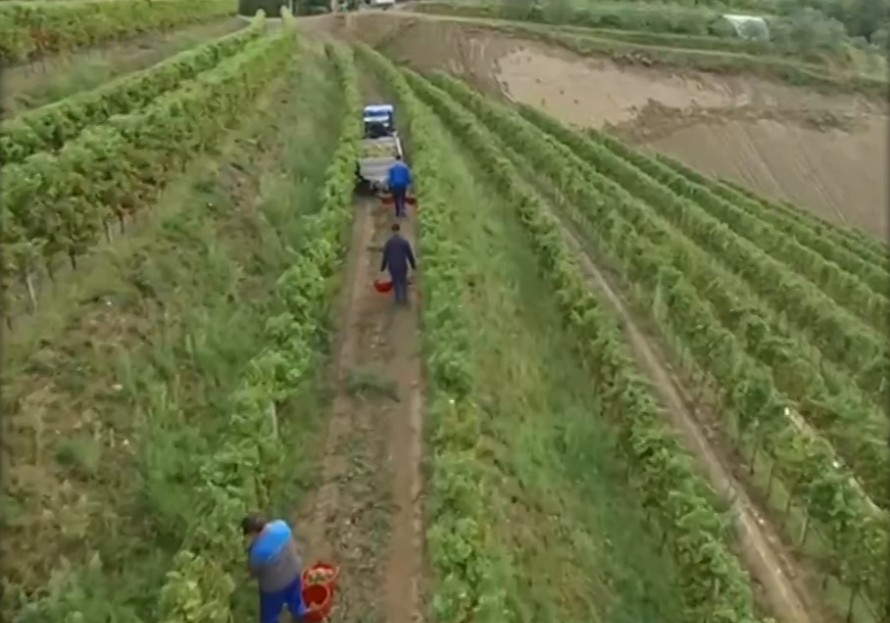 ΣΥΡΙΖΑ για Mercosur: Να πάρει θέση ο πρωθυπουργός για το τι θα κάνει με τους αγρότες στην Ελλάδα