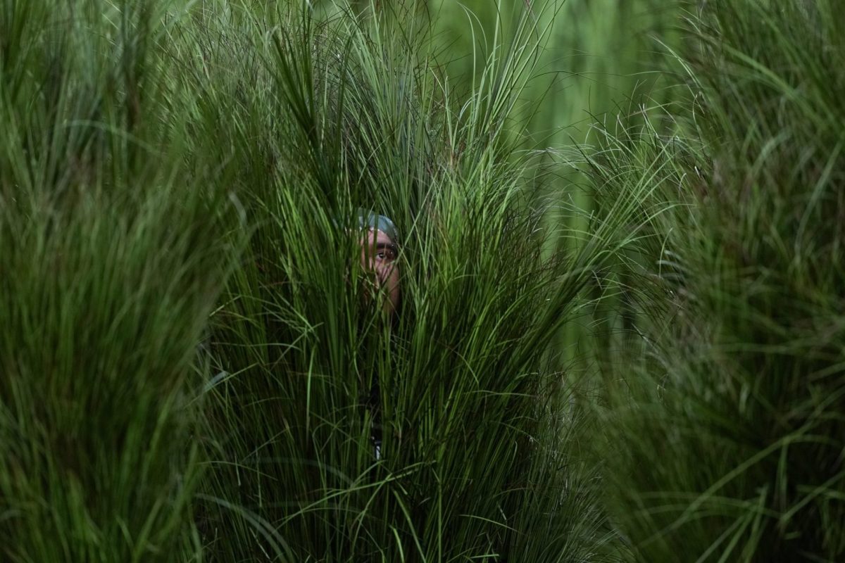 Super Bowl: Πόσα χρήματα έβγαλαν όσοι έκαναν τους «θάμνους» στο halftime show του Bad Bunny