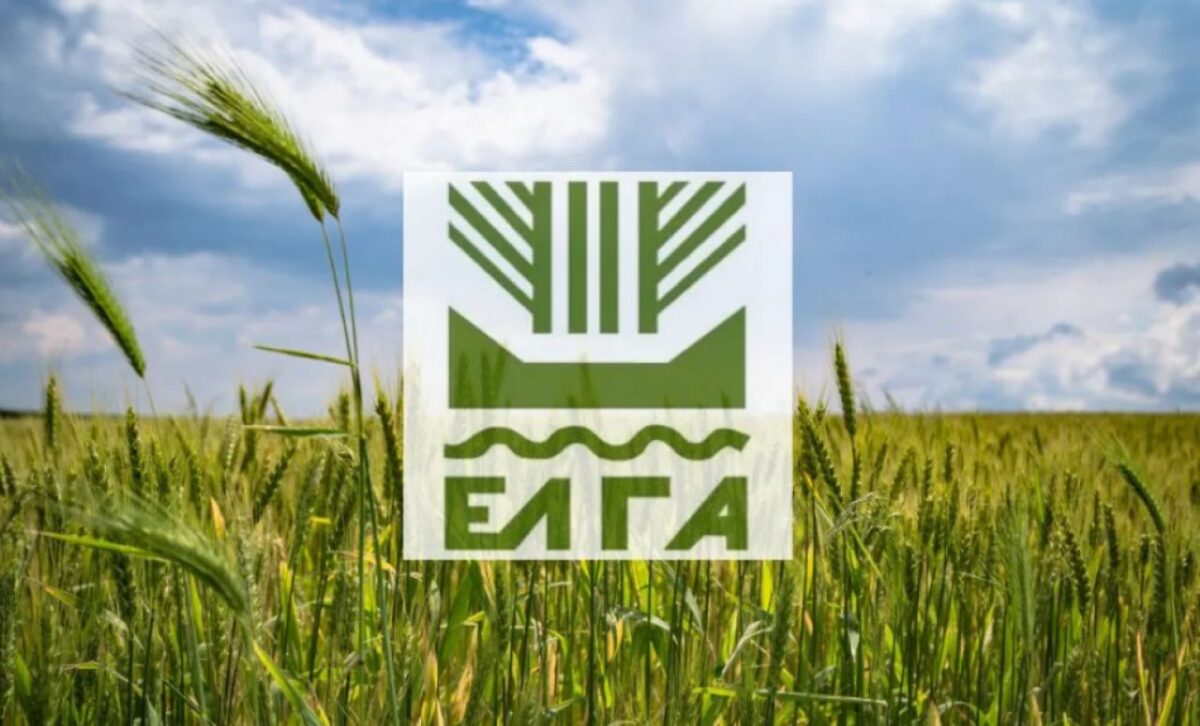 Καταβολή 18,7 εκατ. ευρώ από τον ΕΛΓΑ σε 8.648 παραγωγούς για ζημιές του 2025