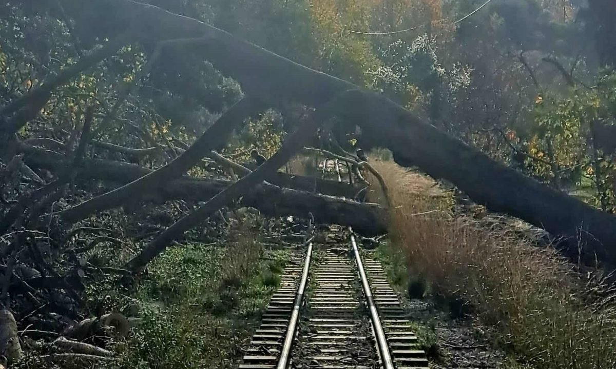 Hellenic Train: Aναστολή δρομολογίων στον Οδοντωτό Σιδηρόδρομο στο Διακοπτό λόγω πτώσης δέντρων στις γραμμές