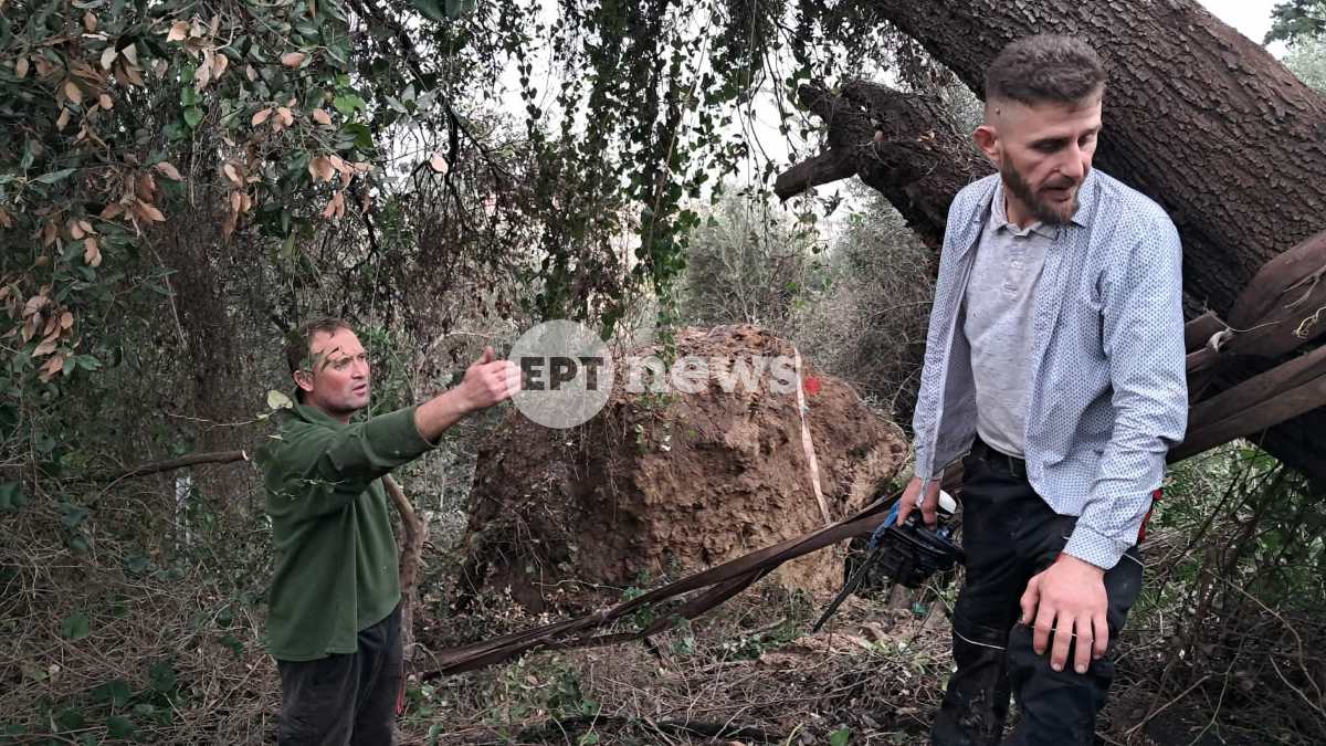 Κατάκολο: Σε εξέλιξη οι εργασίες στερέωσης του βράχου που είχε αποκολληθεί