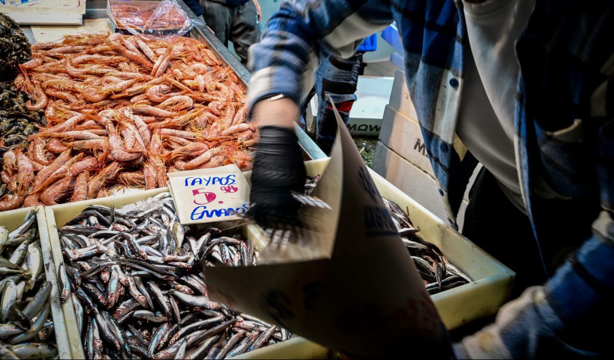 Καθαρά Δευτέρα: Πόσο θα αγοράσουμε φέτος τα σαρακοστιανά – Τι καθορίζει τις τιμές