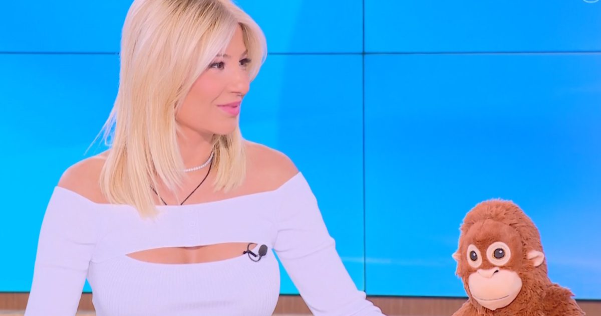 Δημήτρης Ουγγαρέζος: «Νέα προσθήκη στο πάνελ» – Φαίη Σκορδά: «Ήμασταν που ήμασταν λίγοι»