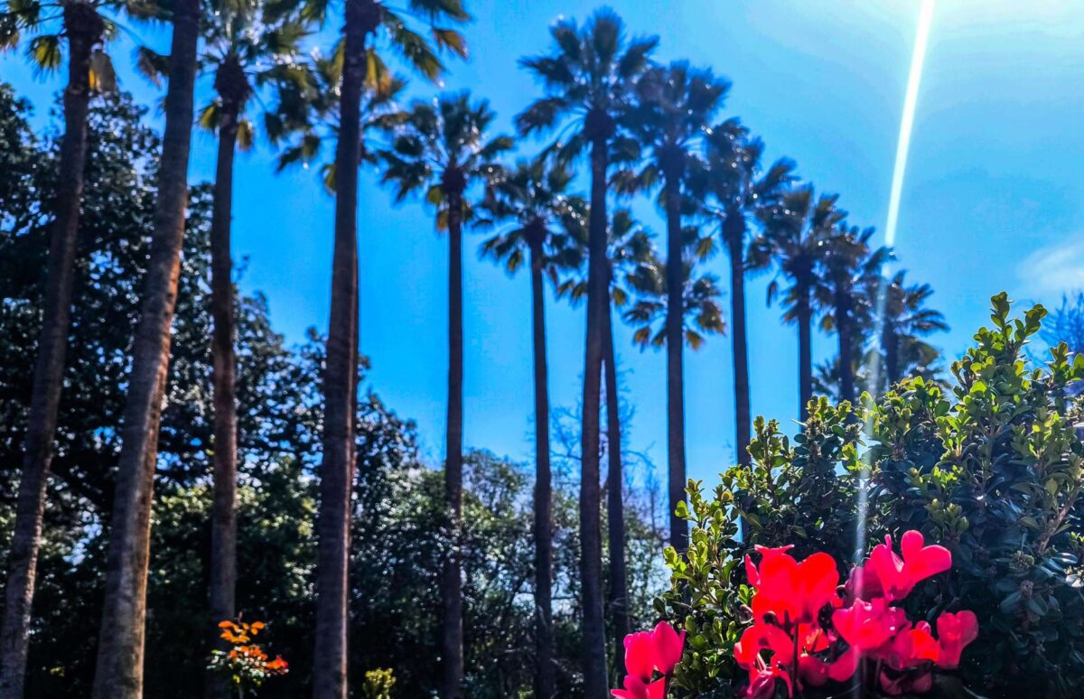 Καιρός: Ηλιοφάνεια, βοριάδες στο Αιγαίο και θερμοκρασίες κοντά στα κανονικά επίπεδα