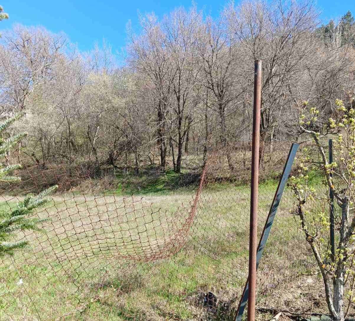 Κοζάνη: Επιθέσεις αρκούδας στην Αναρράχη Εορδαίας – Σύσταση για αυξημένη προσοχή