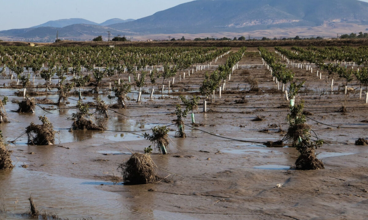 Μαγνησία: Οικογένεια πλημμυροπαθών του Daniel με δύο παιδιά μένει σε φορτηγάκι μετά από κατάσχεση!