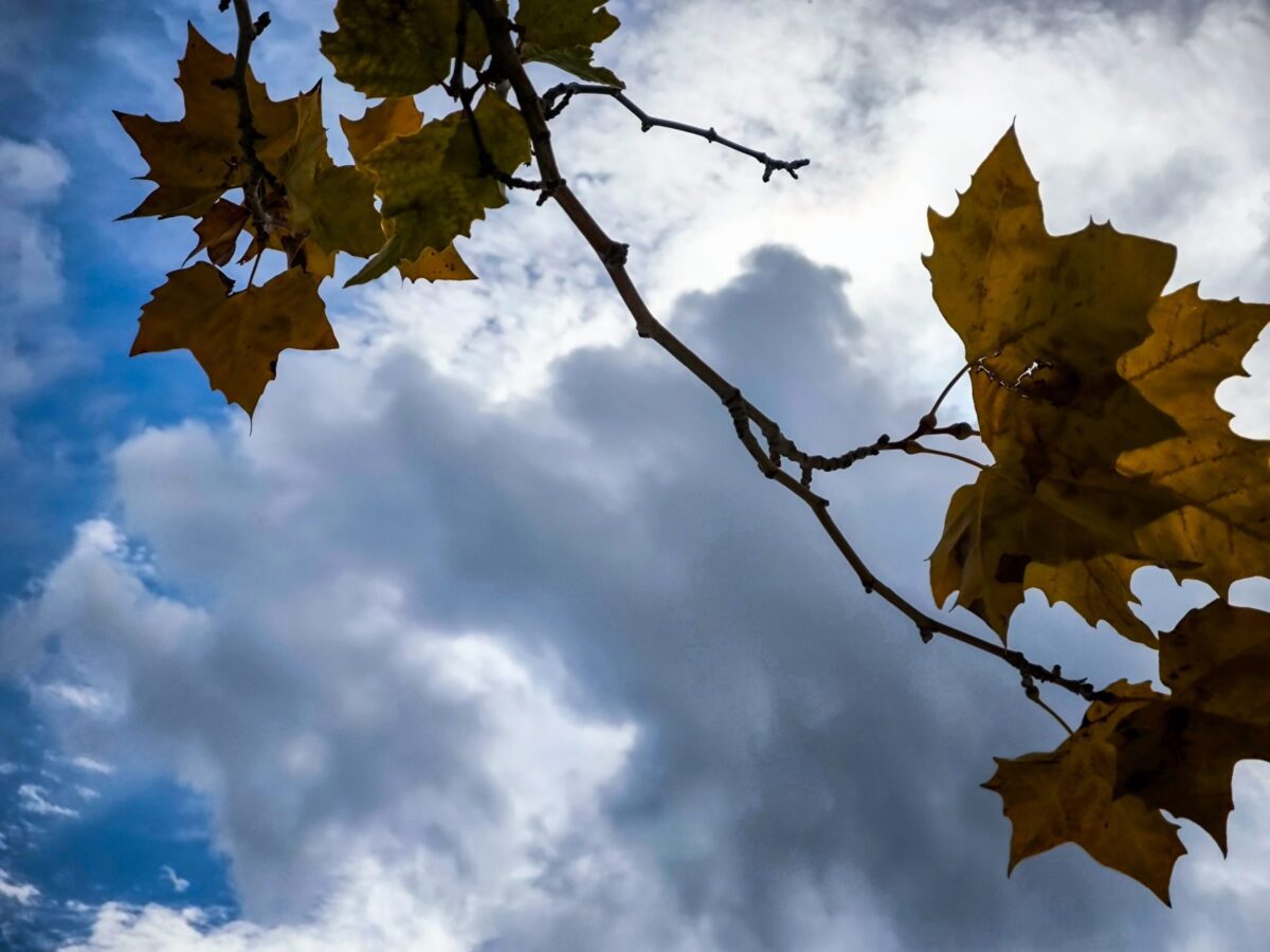 Καιρός: Συνεχίζονται οι ανοιξιάτικες ημέρες – Πότε έρχονται βροχές, τι καιρό θα κάνει το Σαββατοκύριακο