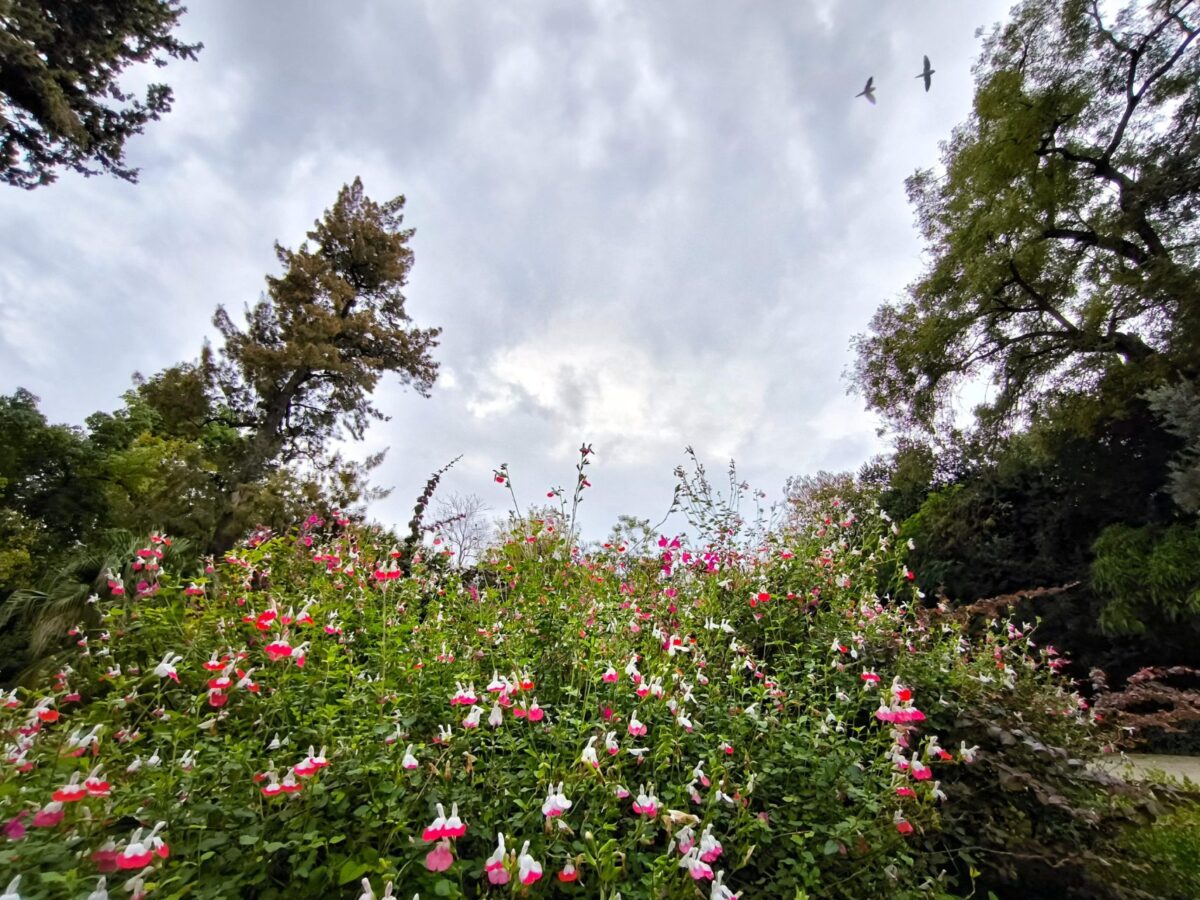 Καιρός: Γενικά αίθριος, αλλά και με κατά τόπους πρόσκαιρες βροχές – Η πρόγνωση της εβδομάδας