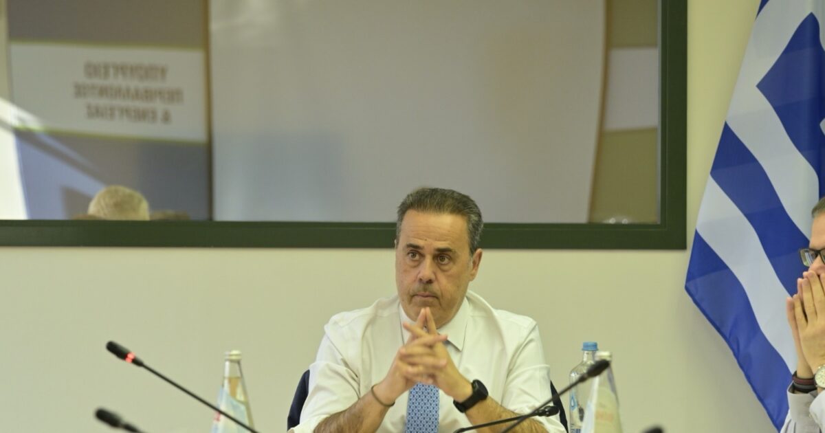 Παπασταύρου: Στη χώρα μας υπάρχει επάρκεια εφοδιασμού – Η ενεργειακή ασφάλεια συνιστά εθνική ασφάλεια