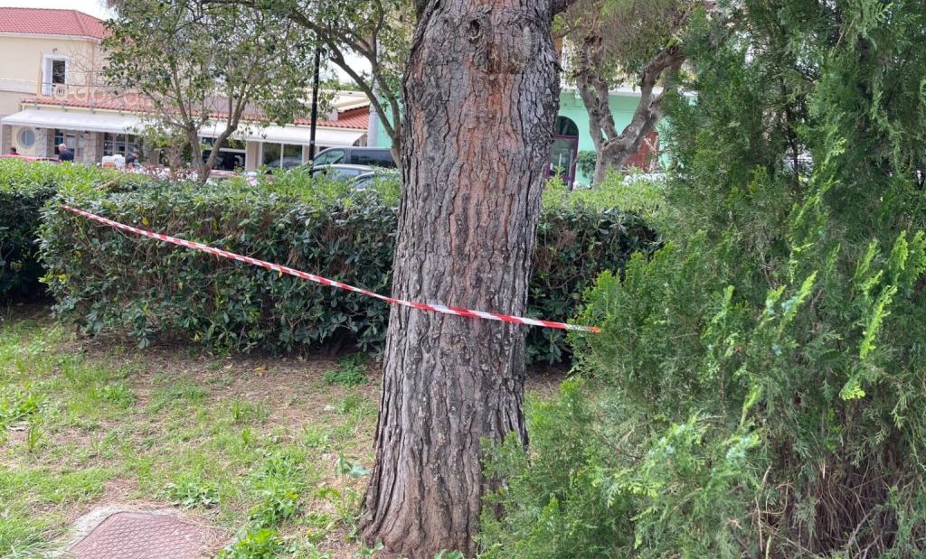 Κεφαλονιά: Συνελήφθη και τρίτο άτομο για τον θάνατο 19χρονης στο Αργοστόλι – Πρωταθλητής άρσης βαρών μεταξύ των εμπλεκομένων