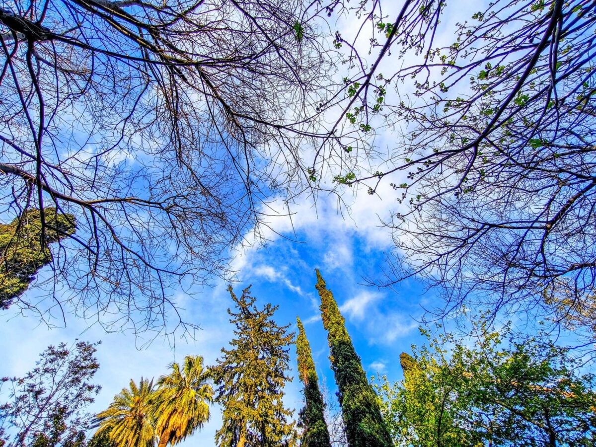 Καιρός: Αστάθεια και σήμερα – Αισθητή βελτίωση από τη Μεγάλη Δευτέρα – Τι αναμένεται για το Πάσχα