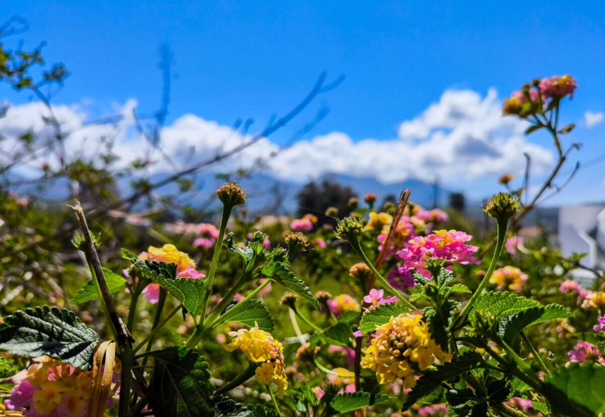 Καιρός: Ήπιες συνθήκες το Πάσχα – Με ηλιοφάνεια η Ανάσταση και η Κυριακή