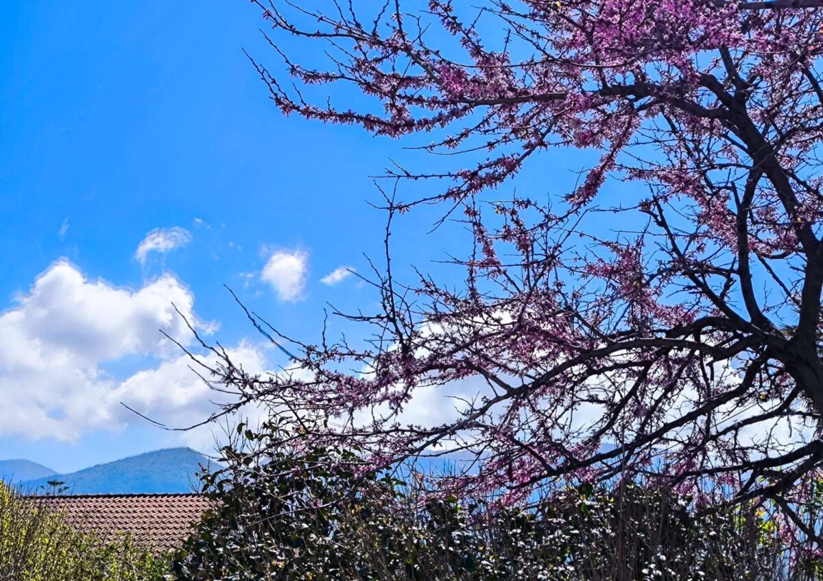 Καιρός: Καλοκαιρινό πρωινό, φθινοπωρινό απόγευμα – Πότε φτάνει η κακοκαιρία στην Αττική