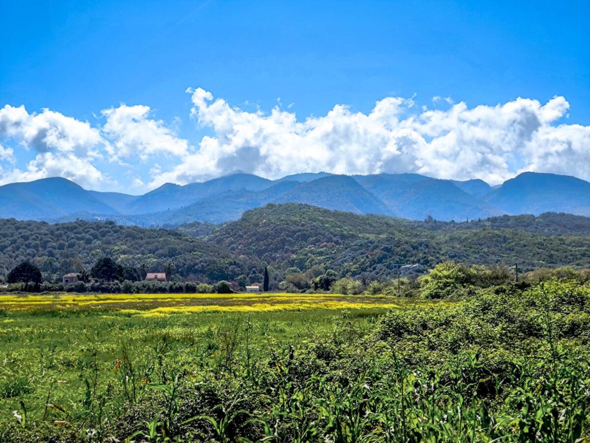 Καιρός: Ζέστη σήμερα με 25άρια, από αύριο φθινοπωρινό διάλειμμα με βροχές και αισθητή πτώση θερμοκρασίας