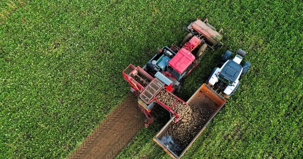 Λιπάσματα: Έως τον Αύγουστο η επιστροφή 15% στα τιμολόγια για μείωση του κόστους παραγωγής