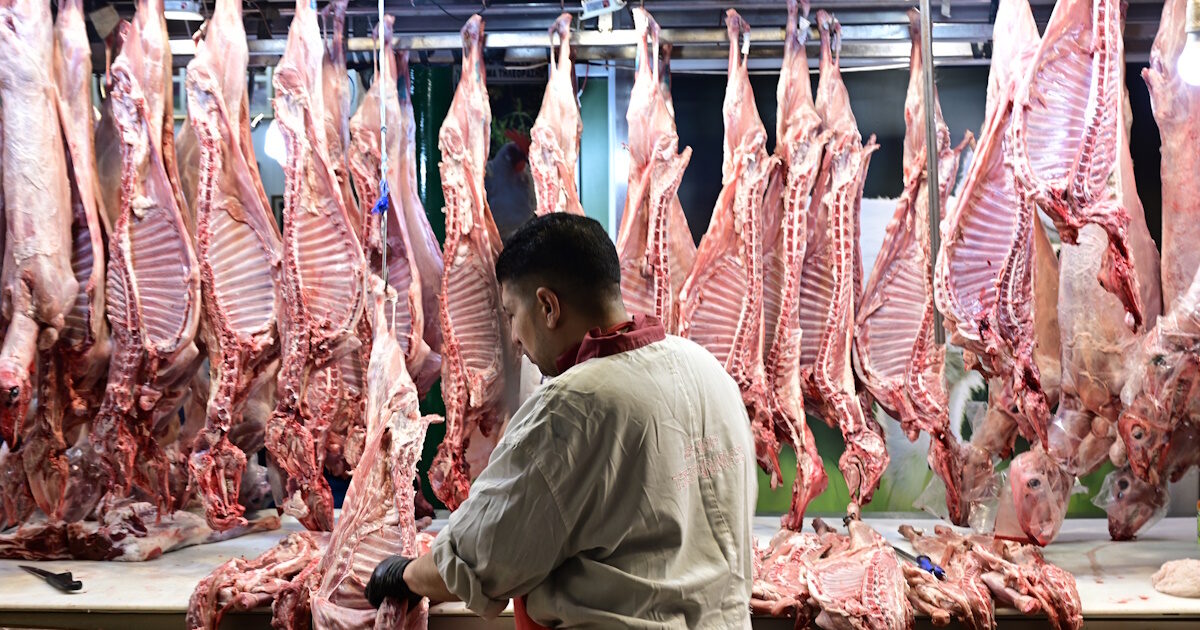 Πάσχα 2026: «Χρηματιστήριο» οι τιμές σε αρνί και κατσίκι, αυξάνονται με τη ζήτηση όσο πλησιάζει η Ανάσταση – Η εικόνα της αγοράς