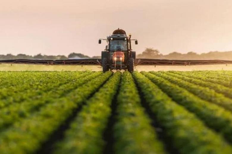 «Διανέοσις»: Εννέα προτάσεις για την ανάκαμψη του αγροτικού τομέα – Τα διαρθρωτικά προβλήματα και οι παρεμβάσεις