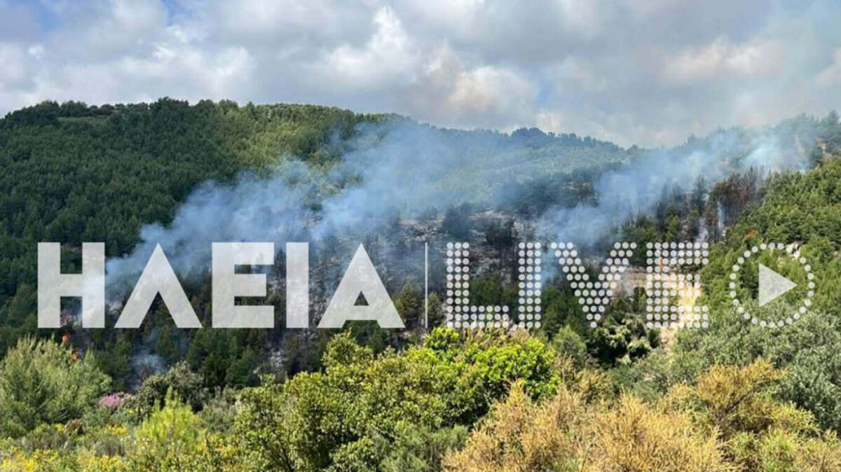 Φωτιά τώρα σε δασική έκταση στο Λέπρεο Ηλείας, επιχειρούν 52 πυροσβέστες και ένα αεροσκάφος