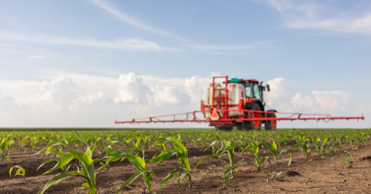 «Καμπανάκι» για την αγροτική παραγωγή που συρρικνώνεται επί σειρά ετών – Οι λόγοι