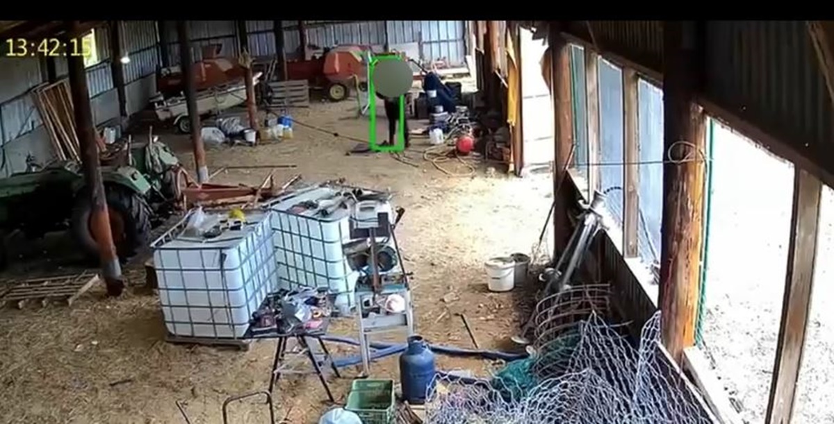 Θεσσαλονίκη: Βίντεο ντοκουμέντο από τη δράση διαρρηκτών σε ιδιωτική αποθήκη – Ο ιδιοκτήτης του φώναζε μέσω εφαρμογή