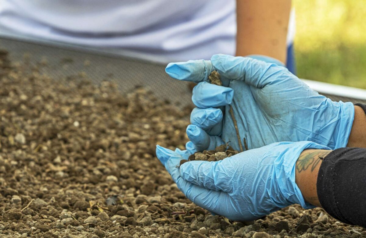 Ακτιβιστές που αναζητούν εξαφανισμένους ανθρώπους στο Μεξικό ανακάλυψαν περισσότερα από 1.000 θραύσματα οστών σε λίμνη