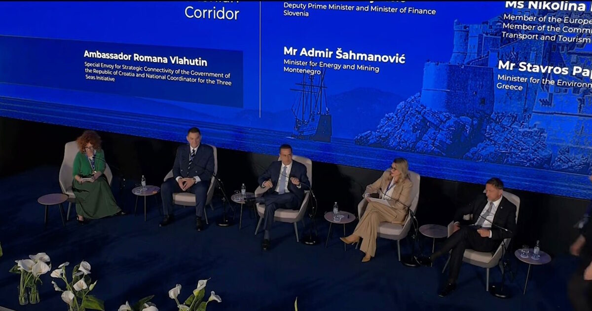 Παπασταύρου: Πρωταγωνιστικός ο ρόλος της Ελλάδας στον Κάθετο Διάδρομο και στις ενεργειακές συμφωνίες που επιτεύχθηκαν στο P-TEC