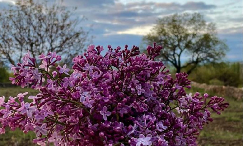 Φθινοπωρινό σκηνικό σήμερα – Βελτίωση του καιρού την Παρασκευή – Αναλυτική πρόγνωση