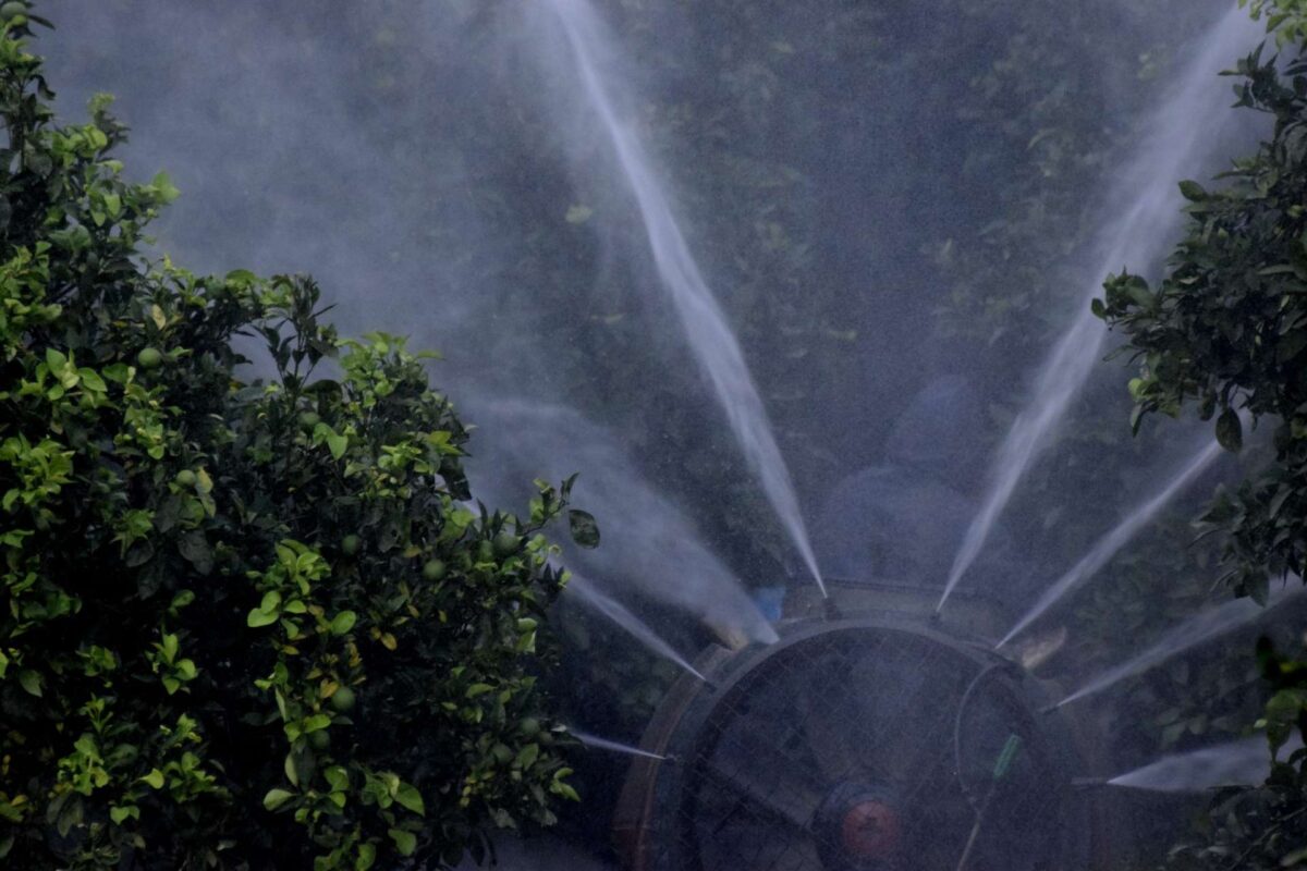 Ανησυχητική έρευνα για τα φυτοφάρμακα και τον κίνδυνο εμφάνισης καρκίνου