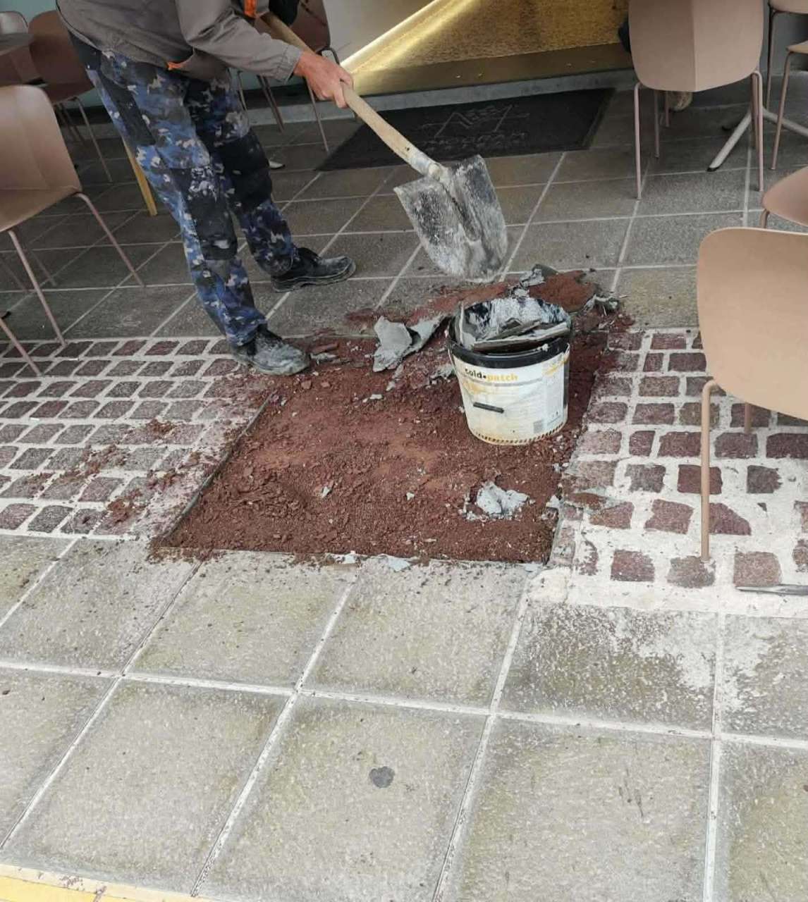 Χανιά: Ξερίζωσε δέντρο και έβαλε τραπεζοκαθίσματα – Μήνυση από τον δήμο Χανίων σε ιδιοκτήτη καφετέριας