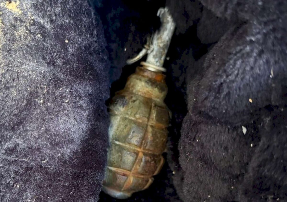 Βρέθηκε χειροβομβίδα σε διαμέρισμα στην Κυψέλη – Τρείς συλλήψεις από την αστυνομία