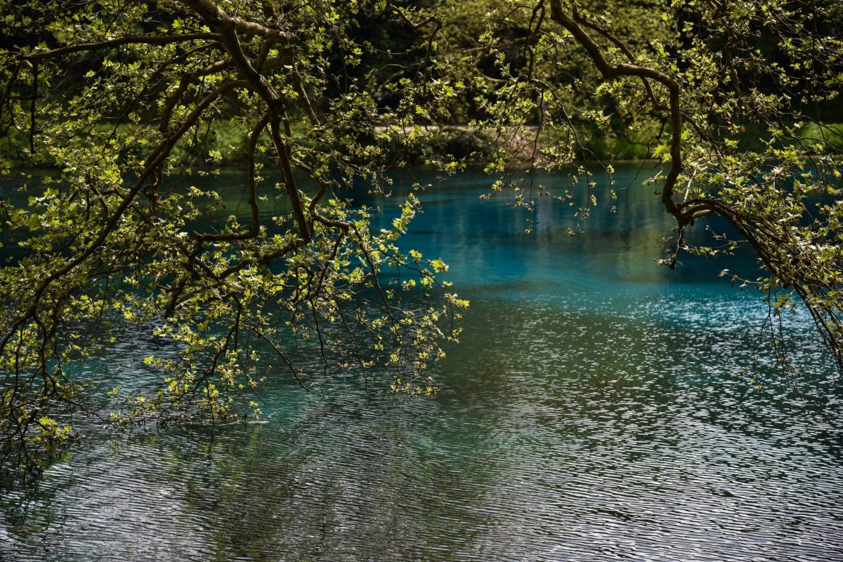 Natura 2000: Εγκρίθηκε νέα Ειδική Περιβαλλοντική Μελέτη για Ήπειρο και Δυτική Μακεδονία