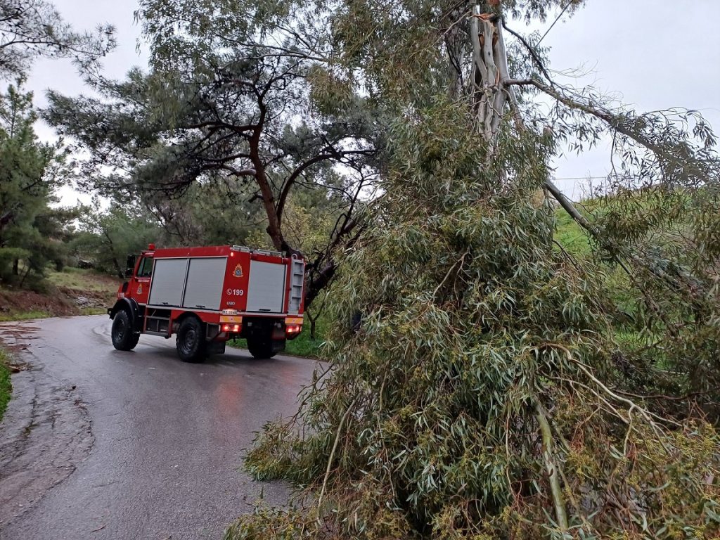 Φωτιά στον ΧΥΤΑ Αργαλαστής Νοτίου Πηλίου